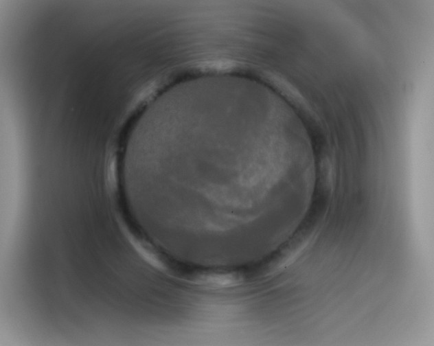 X0000114110638200910131343