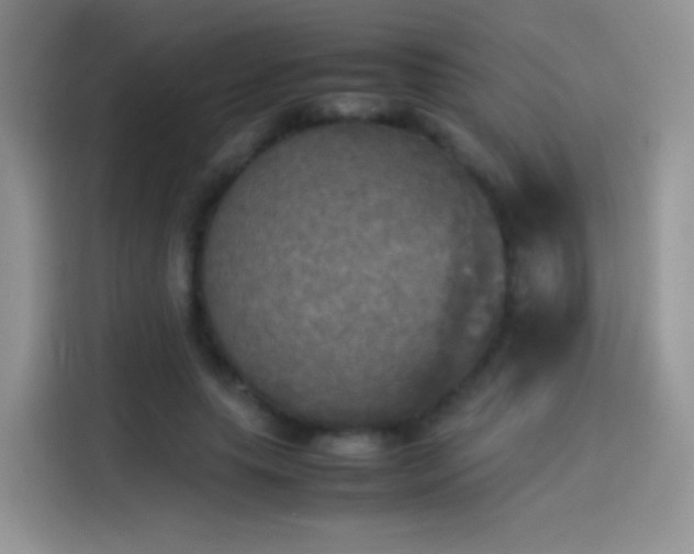 X0000114110639200910131343