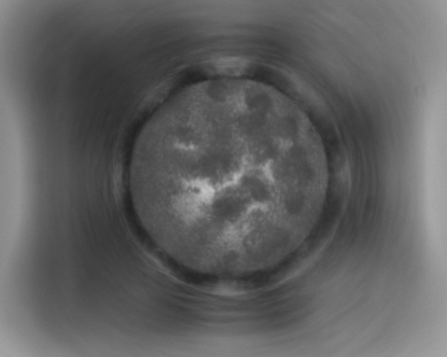 X0000114110641200910131343