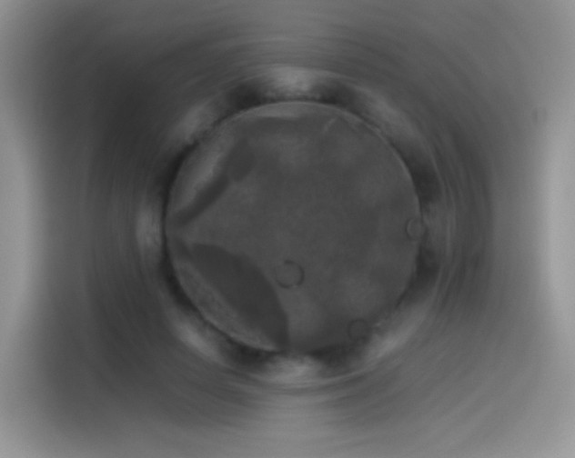 X0000114110642200910131343