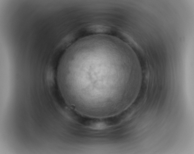 X0000114110643200910131343