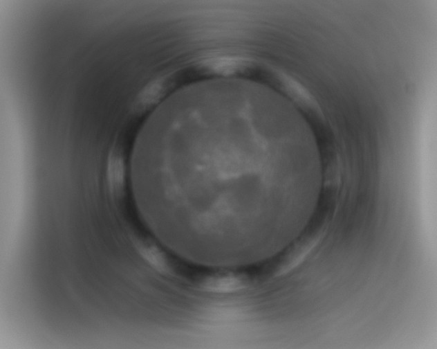 X0000114110646200910131343