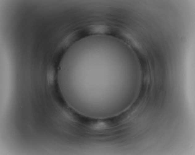 X0000114110647200910131343