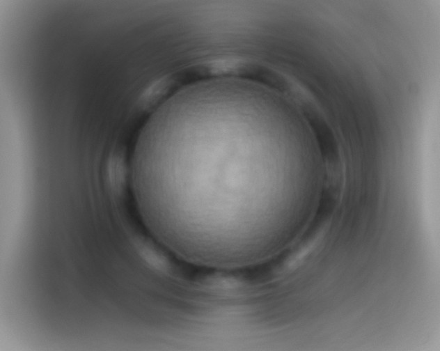 X0000114110648200910131343