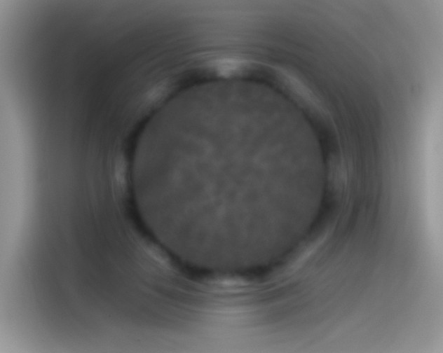 X0000114110650200910131343