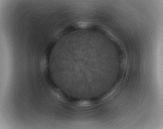 X0000114110651200910131343