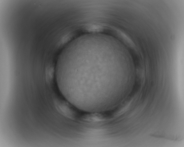 X0000114110652200910131343