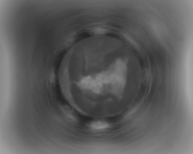 X0000114110655200910131344