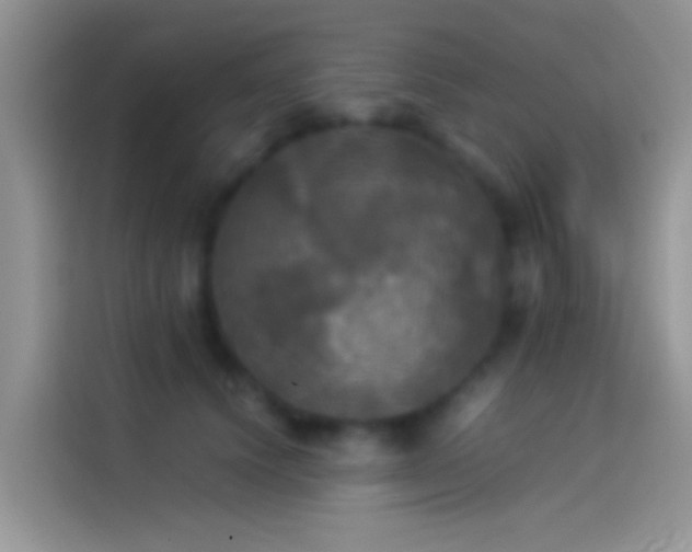 X0000114110656200910131344