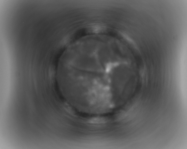 X0000114110657200910131344