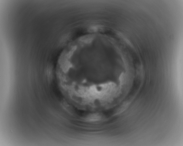 X0000114110659200910131344