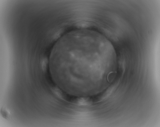 X0000114110660200910131344