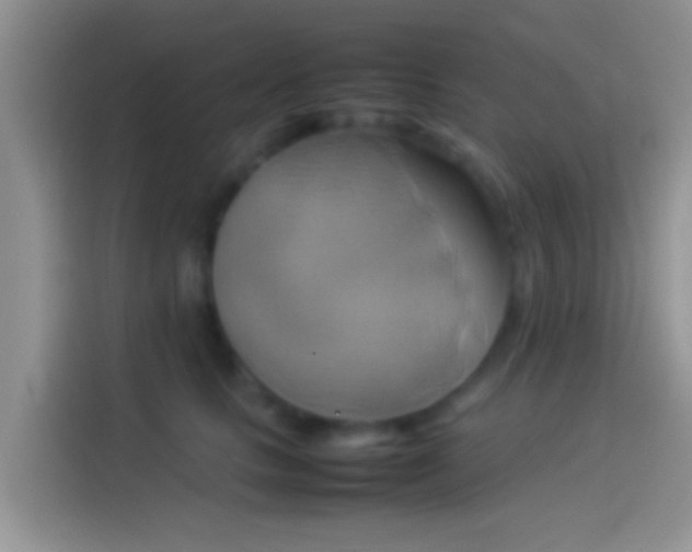 X0000114110661200910131344
