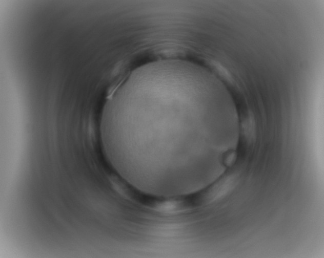 X0000114110662200910131344