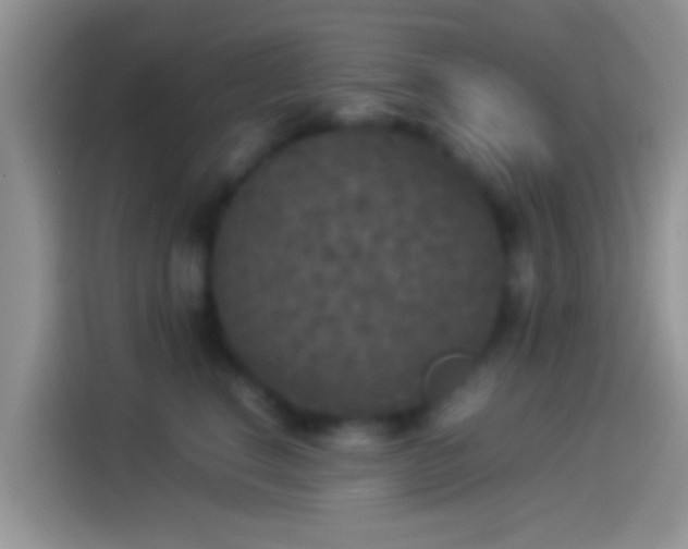 X0000114110664200910131344
