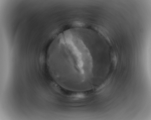 X0000114110665200910131344