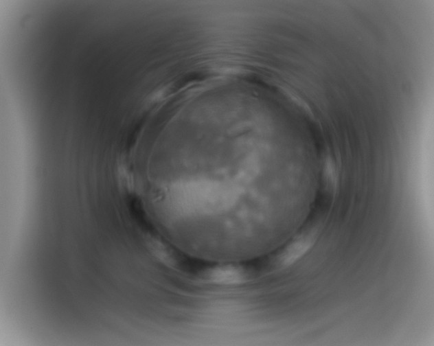 X0000114110668200910131344