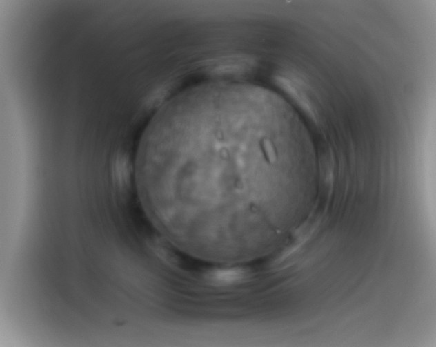X0000114110669200910131344
