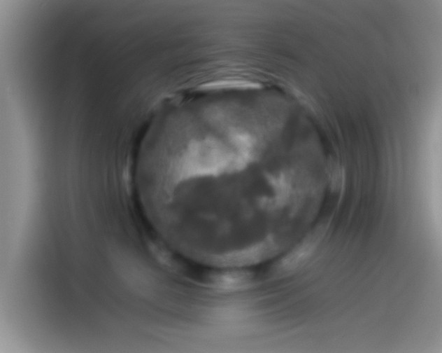 X0000114110670200910131344
