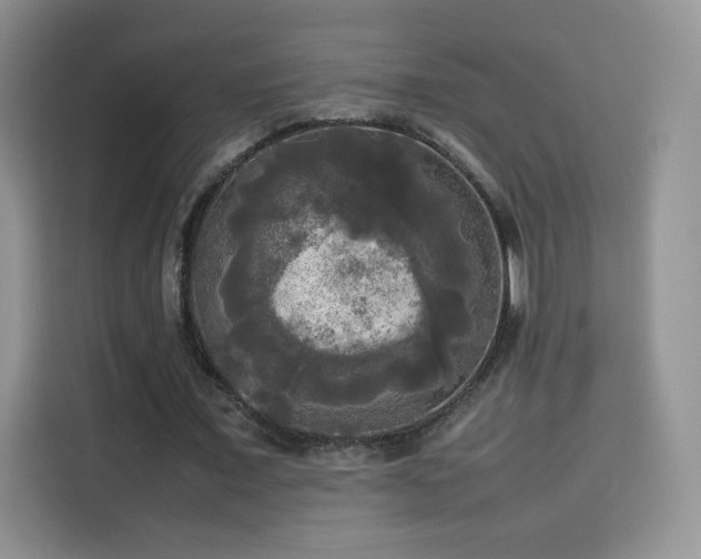 X0000114110675200910131343