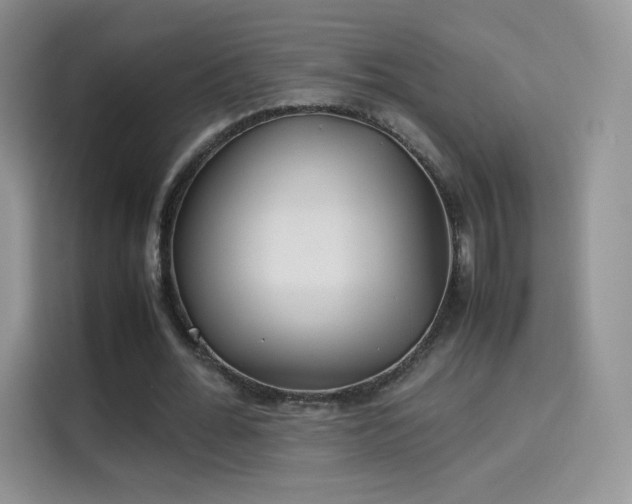 X0000114110676200910131343