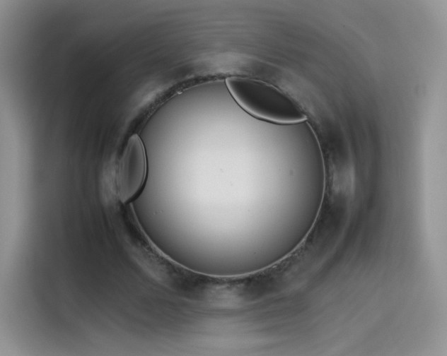 X0000114110680200910131343