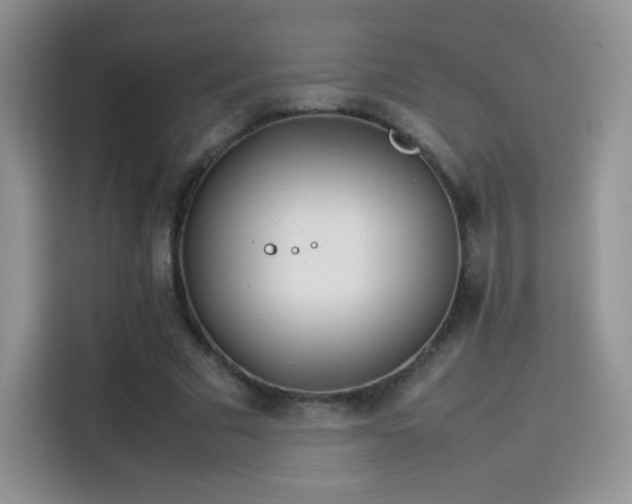 X0000114110681200910131343