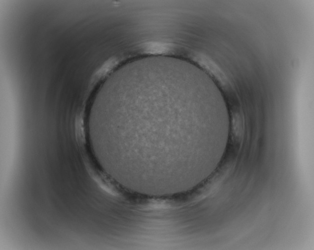 X0000114110682200910131343
