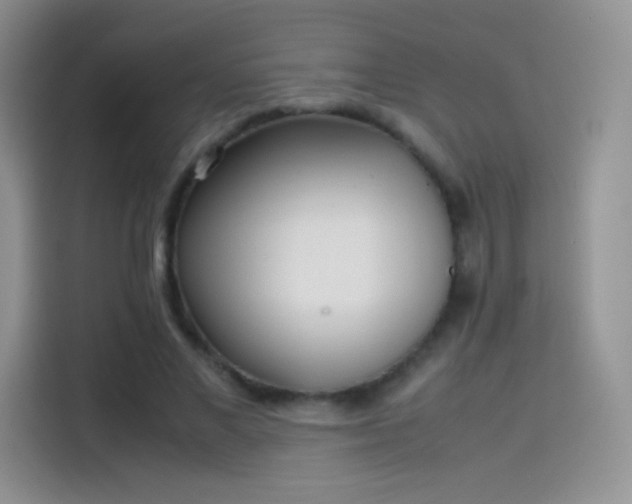 X0000114110685200910131343