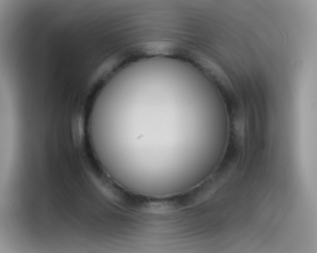 X0000114110686200910131343