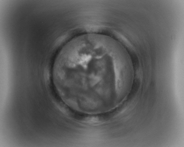X0000114110687200910131343