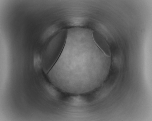 X0000114110688200910131343