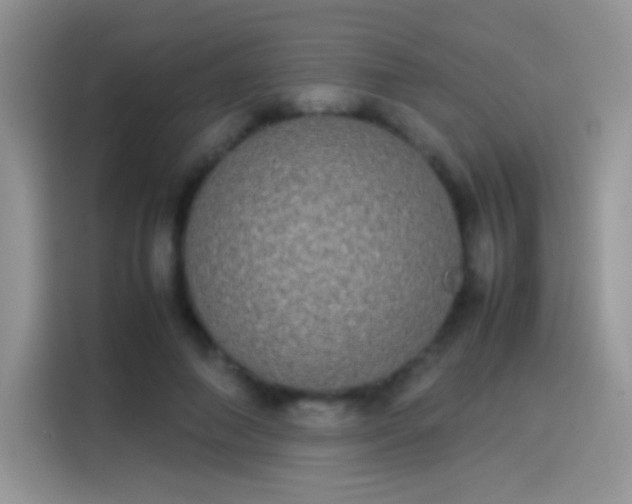 X0000114110690200910131343