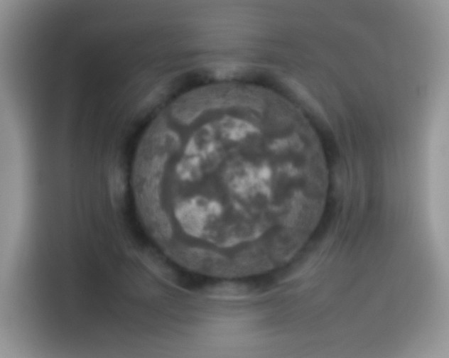 X0000114110691200910131343