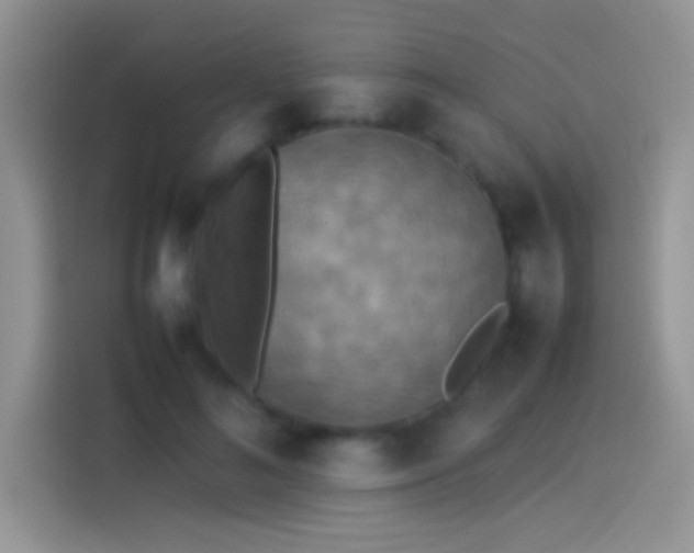 X0000114110692200910131343