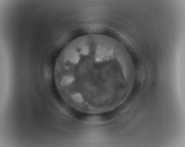 X0000114110695200910131343