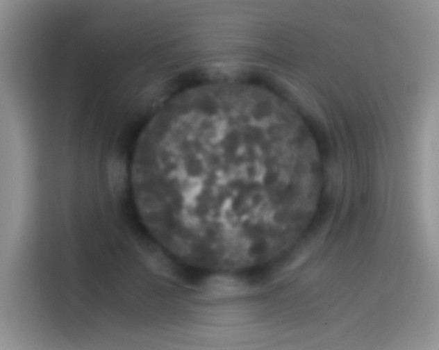 X0000114110699200910131343
