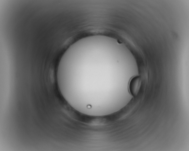 X0000114110700200910131343