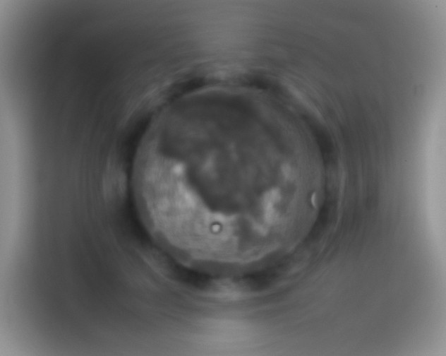 X0000114110703200910131343