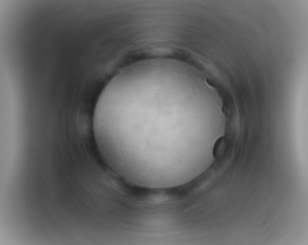 X0000114110704200910131343