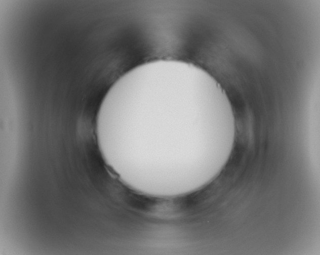 X0000114110705200910131343