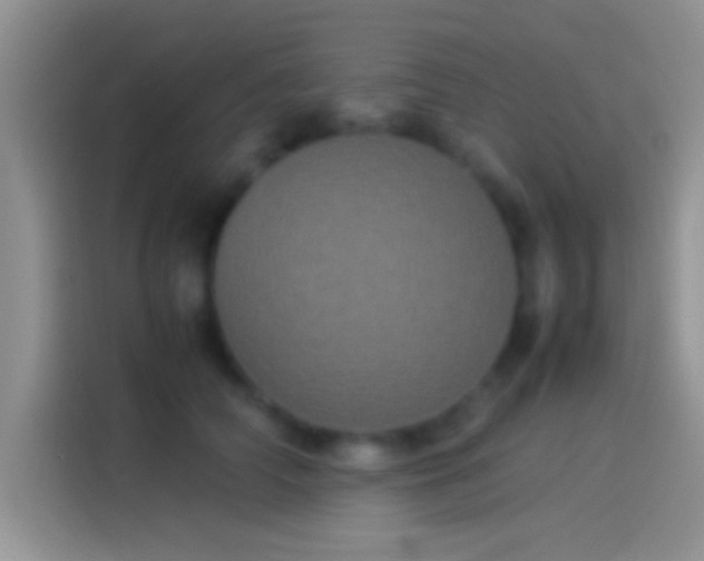 X0000114110706200910131343