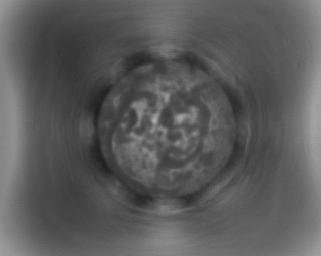 X0000114110707200910131343