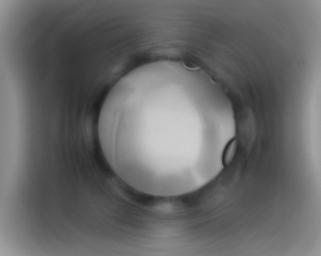 X0000114110708200910131343