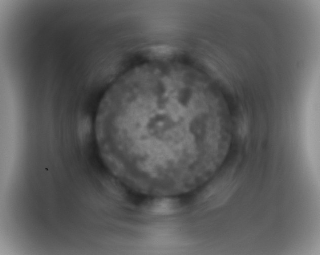 X0000114110711200910131343