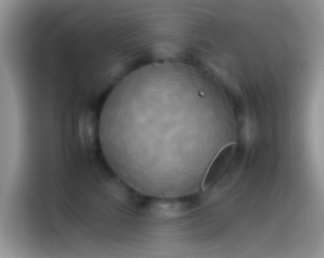 X0000114110712200910131343