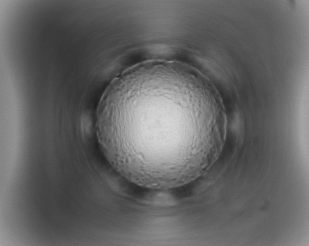 X0000114110715200910131343