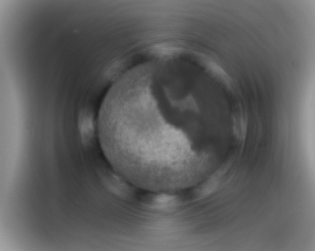 X0000114110718200910131343
