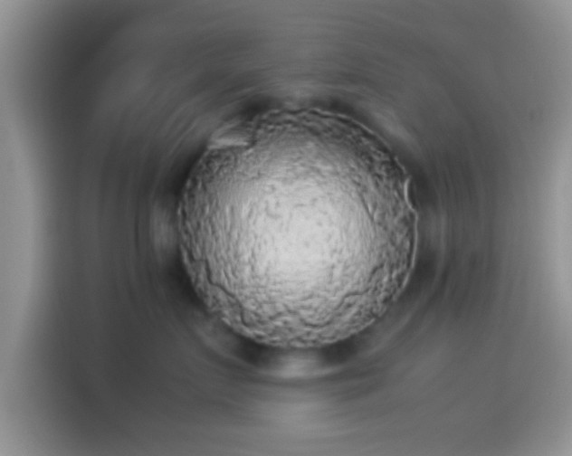 X0000114110719200910131343