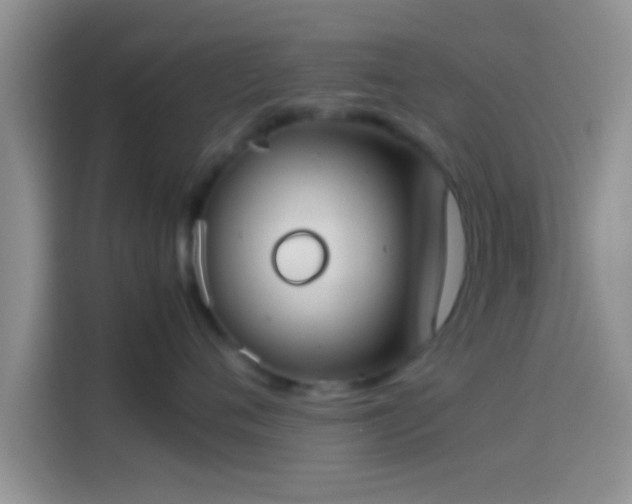 X0000114110720200910131342